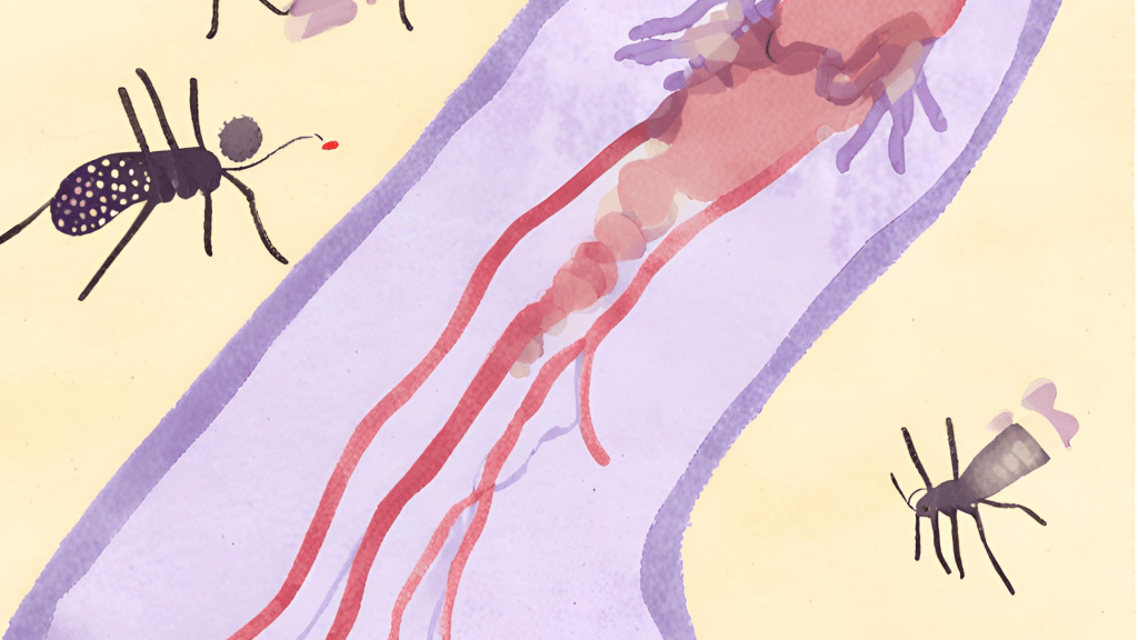 Malaria: Mosquito-Initiated Mayhem